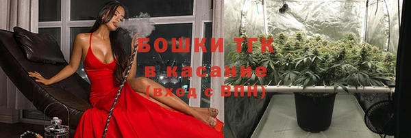 тгк Верея